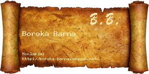 Boroka Barna névjegykártya